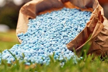 وزارت جهاد کشاورزی از افزایش قیمت کود حمایت نمی‌کند