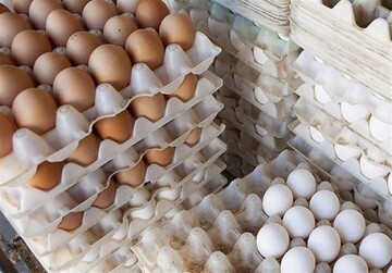 رقابت مرغ و تخم مرغ در قیمت/تخم مرغ ۳۶ هزار تومان