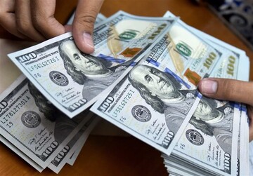 ۲ دلیل افزایش نرخ ارز در هفته‌های اخیر/واردات بدون انتقال ارز بلای جان اقتصاد ایران