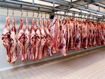فقدان کشتارگاه دردسر ساز شد/نبض کند سلامت گوشت در شرق مازندران