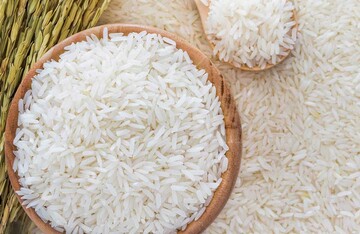 تولید بیش از ۲ میلیون و ۴۰۰ هزار تن برنج در کشور