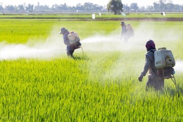 دو هفته طلایی نمایندگان برای جلوگیری از اعمال مالیات بر کشاورزان