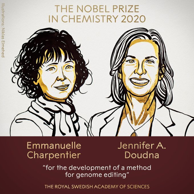 دو زن برای اولین بار برنده نوبل شیمی ۲۰۲۰ شدند