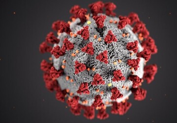 شناسایی ۴ جهش کرونا ویروس خاص ایران