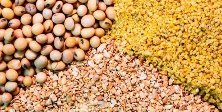 کاهش ۶۰ درصدی توزیع کنجاله سویا در بازار/کاهش ۳۶ درصدی واردات دانه های روغنی