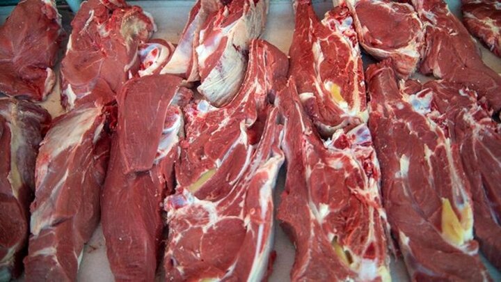قیمت گوشت از این تاریخ کاهش می‌یابد + آخرین نرخ رسمی اتحادیه