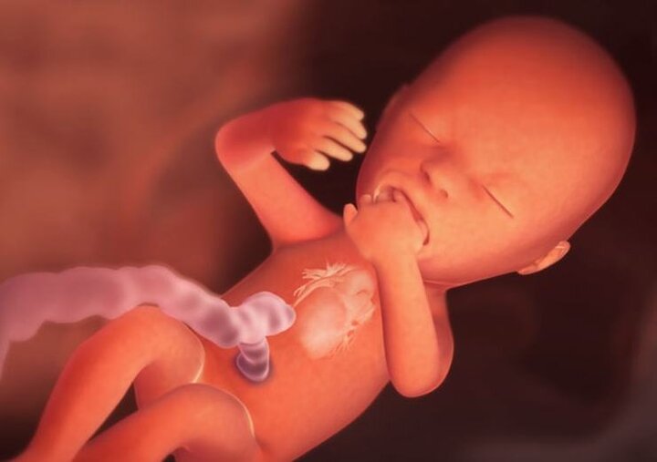 آمار سقط شدگان روزانه چندین برابر آمار فوتی های کروناست