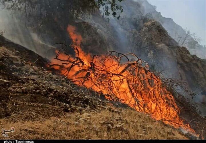 هفتمین روز جدال آتش و طبیعت در گلستان| شعله‌ها در جنگل‌های توسکستان زبانه می‌کشد