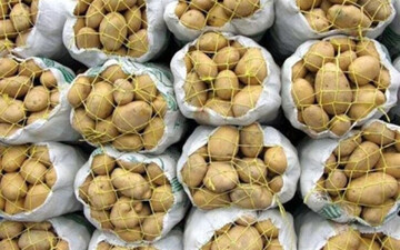 عراقی‌ها سیب زمینی ایران را ۵ برابر قیمت خرید می‌فروشند