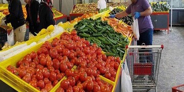 قیمت گوجه فرنگی در میان میوه و تره بار به ۱۰ هزار تومان رسید
