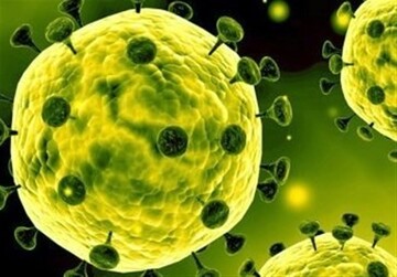 آخرین یافته‌ها از جهش ویروس کرونا در ایران
