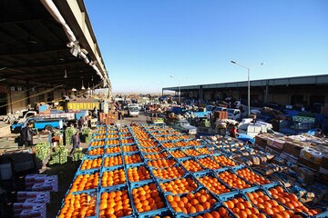 قیمت میوه از مزرعه تا مغازه چقدر چاق می‌شود + ویدیو