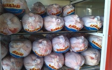 توزیع ۱۶۰۰ تن مرغ منجمد در تهران
