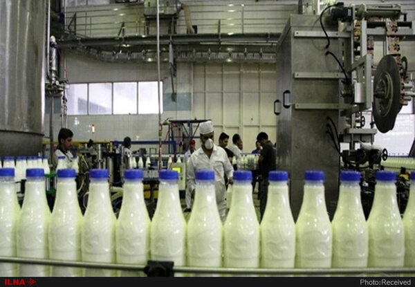 افزایش ۳ برابری قیمت شیر از دامداری تا فروشگاه/تولیدکنندگان صنایع لبنی چطور قانون را دور می زنند؟