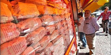 قیمت مرغ ۳۵ هزار تومانی طبیعی است!