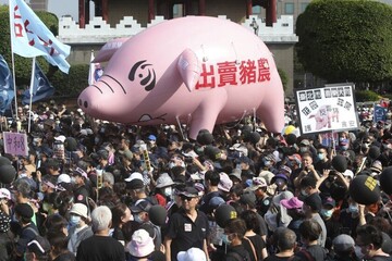 تایوانی ها به واردات گوشت خوک از آمریکا اعتراض دارند