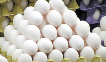افزایش قیمت تخم‌مرغ حتمی است