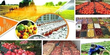 موانع صادرات محصولات کشاورزی به کشورهای حاشیه خلیج‌فارس