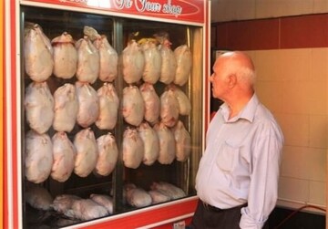 ۹۵۰ تن مرغ گرم و منجمد روزانه در تهران توزیع می‌شود