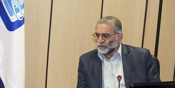 عمویی: دستگاه‌های اطلاعاتی و امنیتی در بررسی‌های خود درباره ترور شهید فخری‌زاده به سرنخ‌های مهمی رسیده‌اند