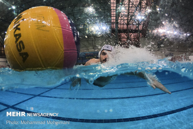 رایزنی رئیس فدراسیون شنا برای برگزاری مسابقات انتخابی المپیک
