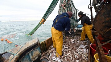 دردسر جدید برگزیت برای ماهیگیران اروپایی و انگلیسی