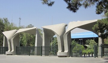 نزدیک به ۵۰ عضو هیئت علمی دانشگاه تهران رفته‌اند؛ چند برابر آنها در حال تدارک رفتن هستند