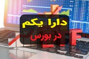 روند هفتگی صندوق‌های دولتی هفته اول خرداد / پالایش و دارایکم هر دو کاهش قیمت داشتند