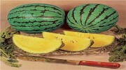 فوائد هندوانه زرد یا آناناسی