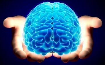 عواملی که باعث کوچک شدن مغز می‌شوند