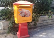 تعقیب مرغ در اداره پست!/ سیاست‌گذاری غلط از قرارگاه مرغ تا فروش پستی مرغ به مردم