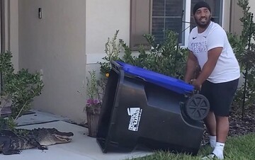 فیلم | به دام انداختن تمساح با سطل آشغال!