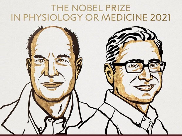 برندگان نوبل پزشکی ۲۰۲۱ اعلام شدند