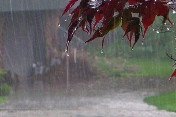 وضعیت آب و هوا در ۵ مرداد / بارش باران در اکثر نقاط کشور و تهران + فیلم