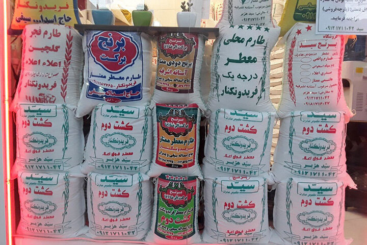 ایران پنجمین کشور با بالاترین قیمت برنج در جهان + نمودار