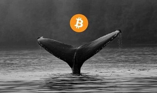  انتقال ۹,۸۰۰ بیت‌کوین به کوین‌بیس توسط نهنگ ناشناس