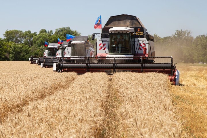 گندم زیر تیغ جنگ/تبعات تنش اوکراین دامن محصولات کشاورزی را گرفت