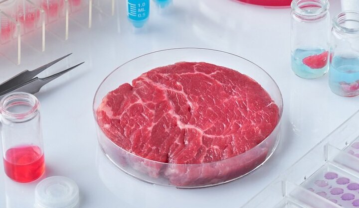 «گوشت مصنوعی» به بازار می‌آید/ چرا باید خوردن گوشت را کنار بگذاریم؟