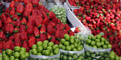 تب بازار نوبرانه های بهار فروکش نکرد / از گوجه سبز ۹۰ هزار تومانی تا توت فرنگی ۱۷۰ هزار تومانی
