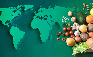 انحصار خطرناک تامین غذای جهان/هشدار قرمز فائو برای جنگ غذا/صادرکنندگان بزرگ مواد غذایی اصلی در دنیا چه کشورهایی هستند؟ + جدول