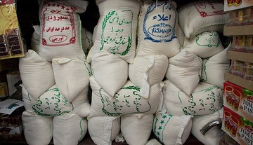 برنج در سراشیبی کاهش قیمت افتاد؛ مردم برنج نمی‌خرند | عرضه برنج‌های احتکار شده به بازار