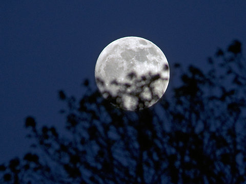 ببینید | تصویری جدید از ماه با جزئیات بی‌نظیر
