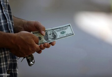 دلار آماده پرش‌های بلندتر/نسخه نابیولینا برای ایران راهگشاست؟