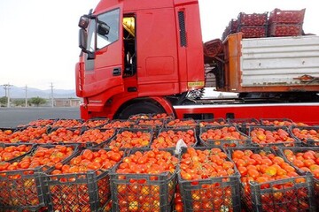 حذف کشاورزی ایران از لیگ اروپا؟ /بازارهای آسیایی ۸۰‌درصد محصولات کشاورزی ایران را می‌خرند
