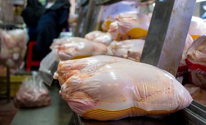 مرغ گرم زیر قیمت بازار را از اینجا بخرید + قیمت
