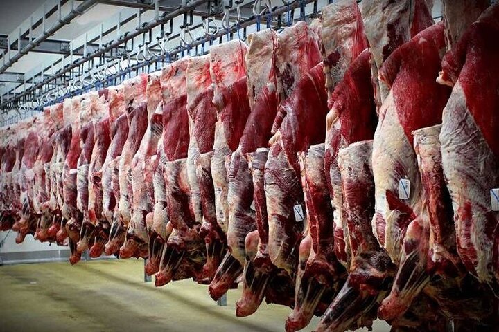 افزایش قیمت گوشت تا کجا ادامه دارد؟