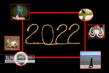 دیدن عجیب ترین عکس‌های سال ۲۰۲۲ را از دست ندهید + تصاویر