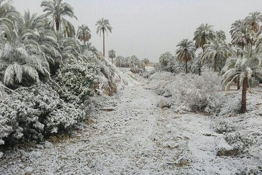 آخرین پیش‌بینی هوای این هفته: برف تا بوشهر می‌رسد!