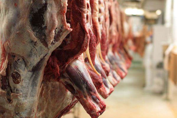 توزیع گوشت های وارداتی تا رسیدن بازار به آرامش ادامه دارد