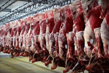 ۲۰۰ هزار تن گوشت قرمز کنیا وارد ایران می‌شود